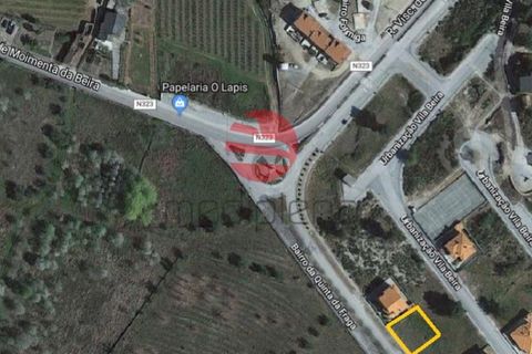 Terra a Moimenta da Beira, Viseu, Moimenta da Beira - € 35.000 | Ref: 1439 - foto 3