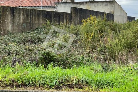 Helårsgrund i Aveiro, Aveiro, Aveiro - € 90.000 | Ref: 3924 - foto 11