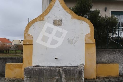 Helårsgrund i Aveiro, Aveiro, Aveiro - € 90.000 | Ref: 3924 - foto 16