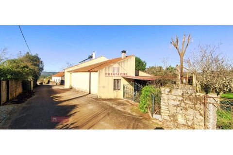 Villa i Ansiao, Leiria, Ansiao - € 75.000 | Ref: TPH001-244 - foto 23