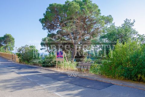 Helårsgrund i Tossa De Mar, Gerona, Tossa De Mar - € 295.000 | Ref: 193T - foto 7