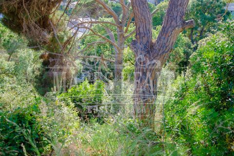 Helårsgrund i Tossa De Mar, Gerona, Tossa De Mar - € 295.000 | Ref: 193T - foto 10
