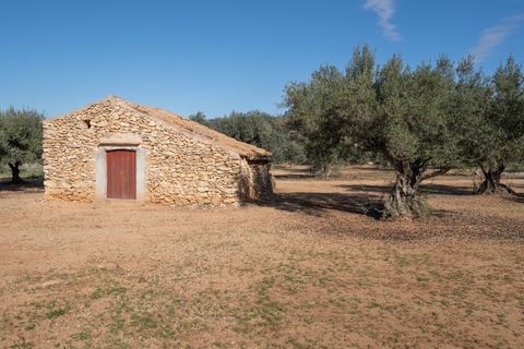 Finca i Tivenys, Tarragona, Tivenys - € 36.000 | Ref: 799 - foto 1