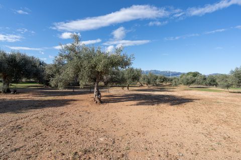 Finca i Tivenys, Tarragona, Tivenys - € 36.000 | Ref: 799 - foto 11