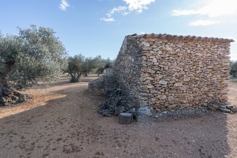 Finca i Tivenys, Tarragona, Tivenys - € 36.000 | Ref: 799 - foto 9