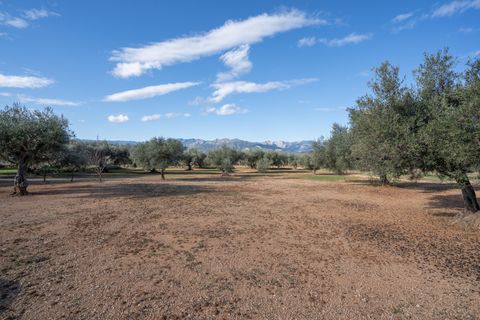 Finca i Tivenys, Tarragona, Tivenys - € 36.000 | Ref: 799 - foto 12