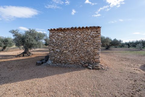 Finca i Tivenys, Tarragona, Tivenys - € 36.000 | Ref: 799 - foto 10