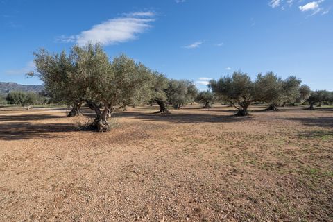 Finca i Tivenys, Tarragona, Tivenys - € 36.000 | Ref: 799 - foto 13