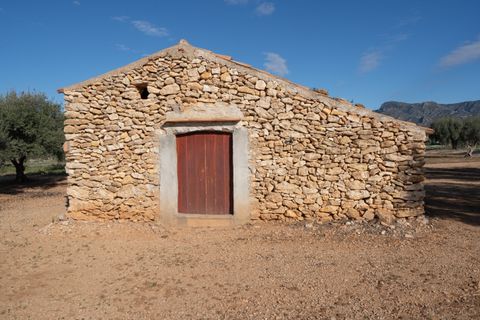 Finca i Tivenys, Tarragona, Tivenys - € 36.000 | Ref: 799 - foto 8