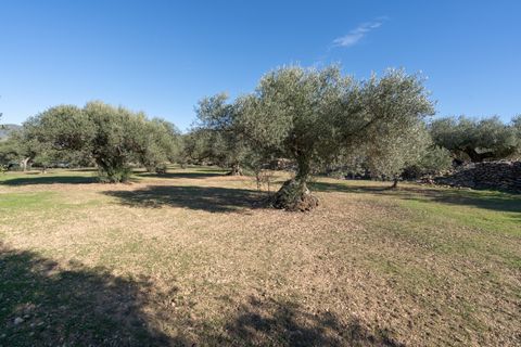 Finca i Tivenys, Tarragona, Tivenys - € 10.000 | Ref: 800 - foto 2