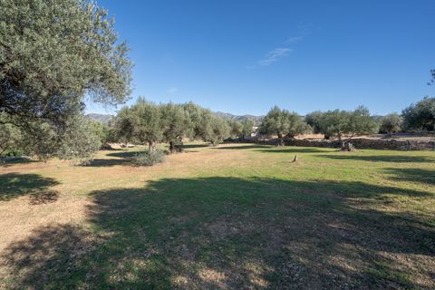 Finca i Tivenys, Tarragona, Tivenys - € 10.000 | Ref: 800 - foto 3