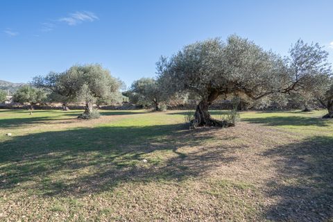 Finca i Tivenys, Tarragona, Tivenys - € 10.000 | Ref: 800 - foto 5