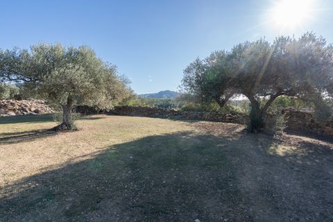 Finca i Tivenys, Tarragona, Tivenys - € 10.000 | Ref: 800 - foto 6