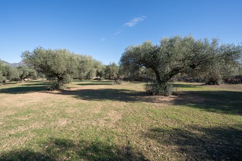 Finca i Tivenys, Tarragona, Tivenys - € 10.000 | Ref: 800 - foto 4