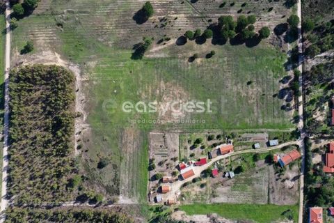 Helårsgrund i Coruche, Santarem, Coruche - € 385.000 | Ref: OR90961EW - foto 6