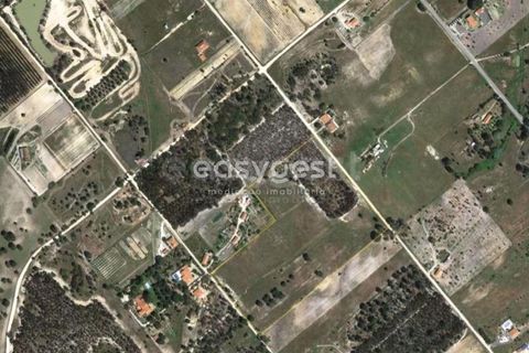 Helårsgrund i Coruche, Santarem, Coruche - € 385.000 | Ref: OR90961EW - foto 7