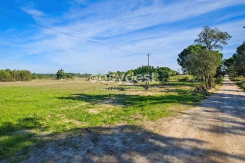 Helårsgrund i Coruche, Santarem, Coruche - € 385.000 | Ref: OR90961EW - foto 8