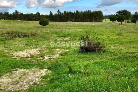 Helårsgrund i Coruche, Santarem, Coruche - € 385.000 | Ref: OR90961EW - foto 9