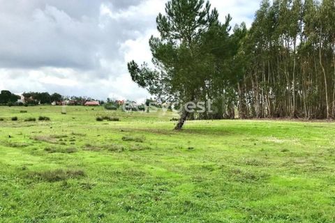 Helårsgrund i Coruche, Santarem, Coruche - € 385.000 | Ref: OR90961EW - foto 10