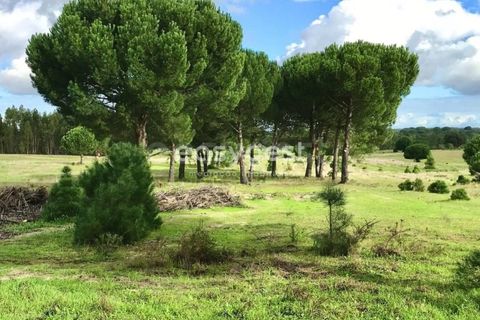 Helårsgrund i Coruche, Santarem, Coruche - € 385.000 | Ref: OR90961EW - foto 11