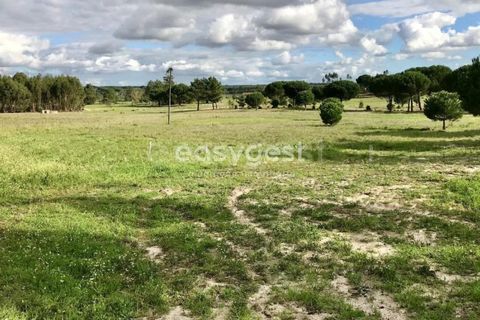Helårsgrund i Coruche, Santarem, Coruche - € 385.000 | Ref: OR90961EW - foto 12