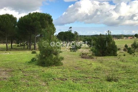 Helårsgrund i Coruche, Santarem, Coruche - € 385.000 | Ref: OR90961EW - foto 13