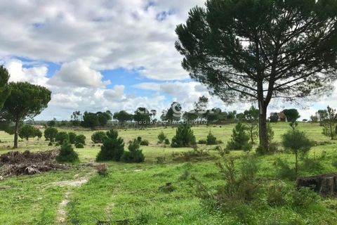 Helårsgrund i Coruche, Santarem, Coruche - € 385.000 | Ref: OR90961EW - foto 14