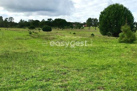 Helårsgrund i Coruche, Santarem, Coruche - € 385.000 | Ref: OR90961EW - foto 15