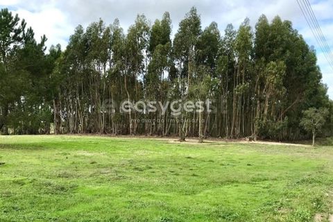 Helårsgrund i Coruche, Santarem, Coruche - € 385.000 | Ref: OR90961EW - foto 16