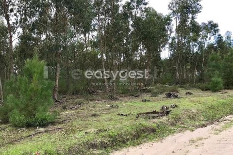 Helårsgrund i Coruche, Santarem, Coruche - € 385.000 | Ref: OR90961EW - foto 17
