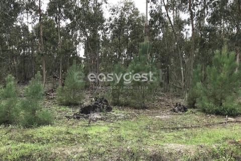 Helårsgrund i Coruche, Santarem, Coruche - € 385.000 | Ref: OR90961EW - foto 18