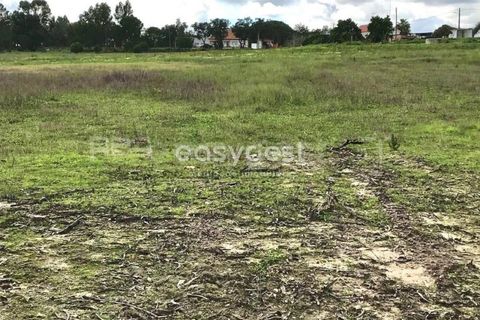 Helårsgrund i Coruche, Santarem, Coruche - € 385.000 | Ref: OR90961EW - foto 20