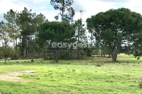 Helårsgrund i Coruche, Santarem, Coruche - € 385.000 | Ref: OR90961EW - foto 21