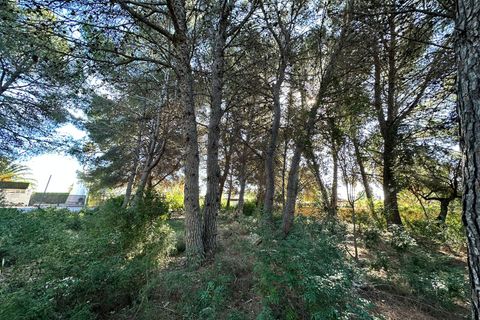 Helårsgrund i Calpe, Alicante, Calpe - € 250.000 | Ref: G11734 - foto 6