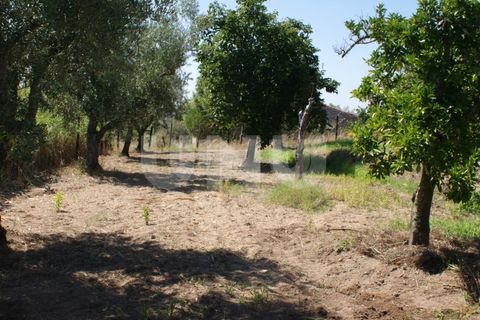 Terra a Ladoeiro, Castelo Branco, Ladoeiro - € 15.000 | Ref: UNU.I.1323.12555 - foto 7