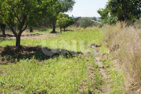 Terra a Ladoeiro, Castelo Branco, Ladoeiro - € 15.000 | Ref: UNU.I.1323.12555 - foto 9