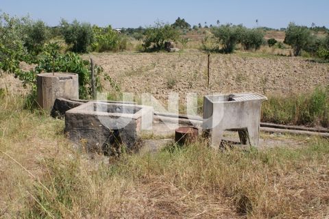 Terra a Ladoeiro, Castelo Branco, Ladoeiro - € 15.000 | Ref: UNU.I.1323.12555 - foto 10