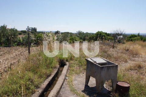Terra a Ladoeiro, Castelo Branco, Ladoeiro - € 15.000 | Ref: UNU.I.1323.12555 - foto 11