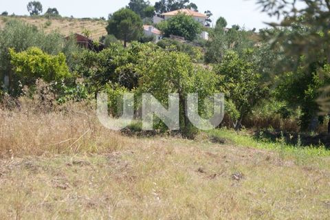 Terra a Ladoeiro, Castelo Branco, Ladoeiro - € 15.000 | Ref: UNU.I.1323.12555 - foto 14