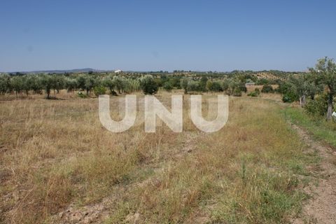 Terra a Ladoeiro, Castelo Branco, Ladoeiro - € 15.000 | Ref: UNU.I.1323.12555 - foto 16