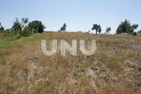 Terra a Ladoeiro, Castelo Branco, Ladoeiro - € 15.000 | Ref: UNU.I.1323.12555 - foto 17