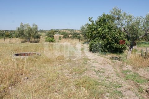 Terra a Ladoeiro, Castelo Branco, Ladoeiro - € 15.000 | Ref: UNU.I.1323.12555 - foto 20