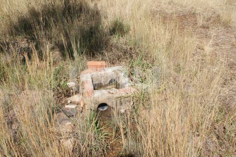 Terra a Ladoeiro, Castelo Branco, Ladoeiro - € 15.000 | Ref: UNU.I.1323.12555 - foto 21
