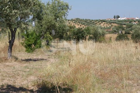 Terra a Ladoeiro, Castelo Branco, Ladoeiro - € 15.000 | Ref: UNU.I.1323.12555 - foto 2