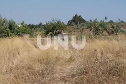Terra a Ladoeiro, Castelo Branco, Ladoeiro - € 15.000 | Ref: UNU.I.1323.12555 - foto 23