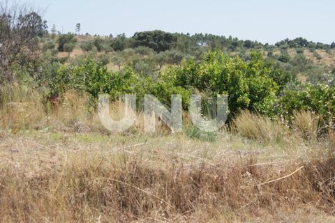 Terra a Ladoeiro, Castelo Branco, Ladoeiro - € 15.000 | Ref: UNU.I.1323.12555 - foto 24