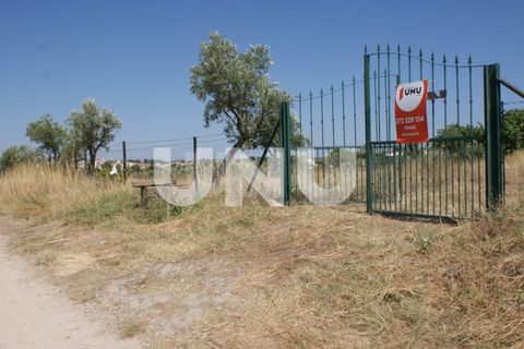 Terra a Ladoeiro, Castelo Branco, Ladoeiro - € 15.000 | Ref: UNU.I.1323.12555 - foto 6