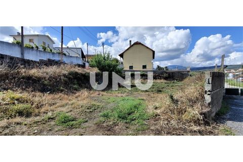 Helårsgrund i Peso e Vales do Rio, Castelo Branco, Peso e Vales do Rio - € 55.000 | Ref: UNU.I.1753.12348 - foto 4