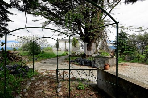 Villa i Boidobra, Castelo Branco, Boidobra - € 250.000 | Ref: UNU.I.1749.12348 - foto 2
