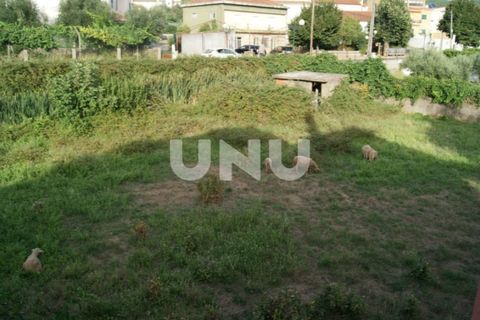 Terra a Paul, Castelo Branco, Paul - € 45.000 | Ref: UNU.I.1677.12348 - foto 4